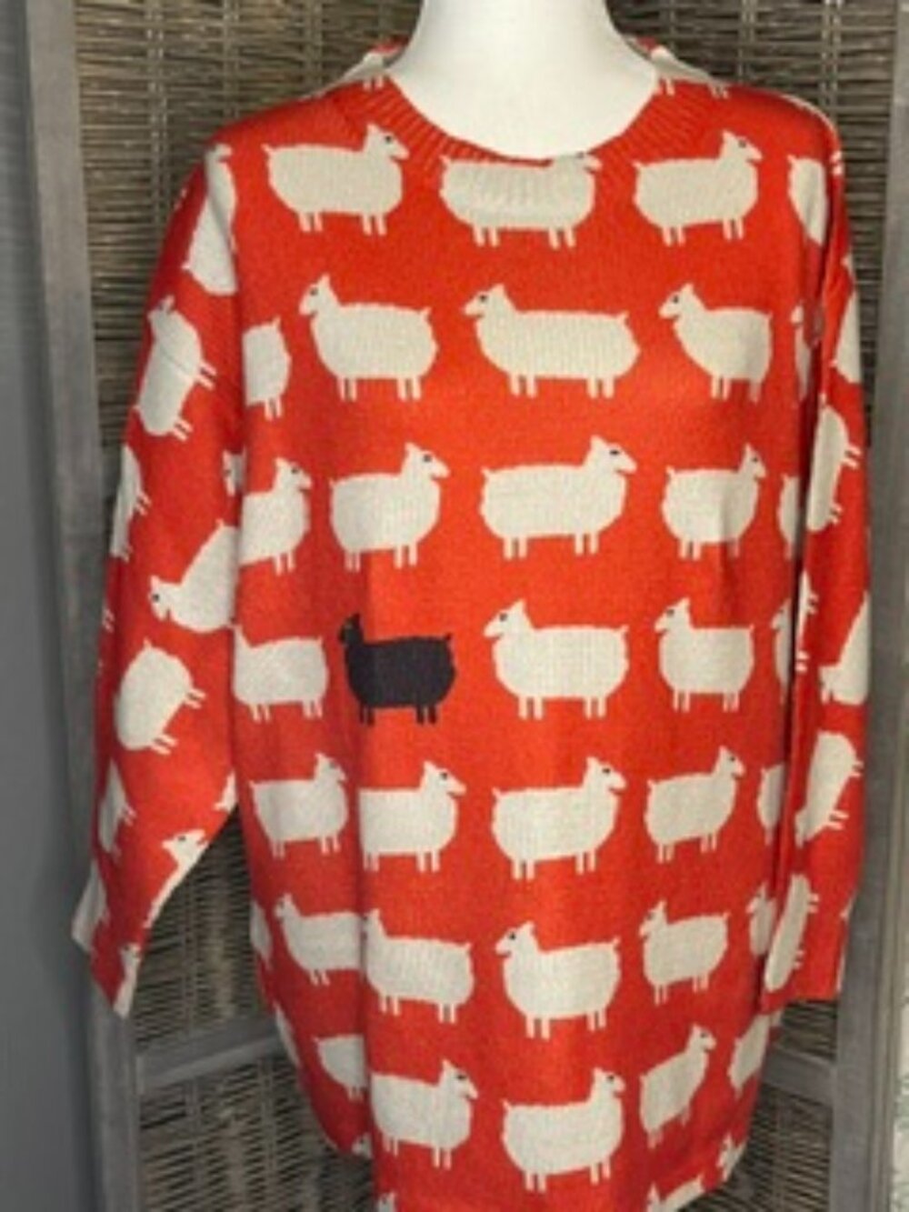 This Little Black Sheep Orange Sweater is waiting on some fall weather. XL  (17)